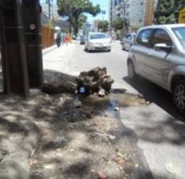 Solicitando presença da compesa urgente