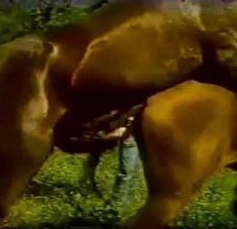 Filme porno antigo (vintage) brasileiro pessoas peludas
